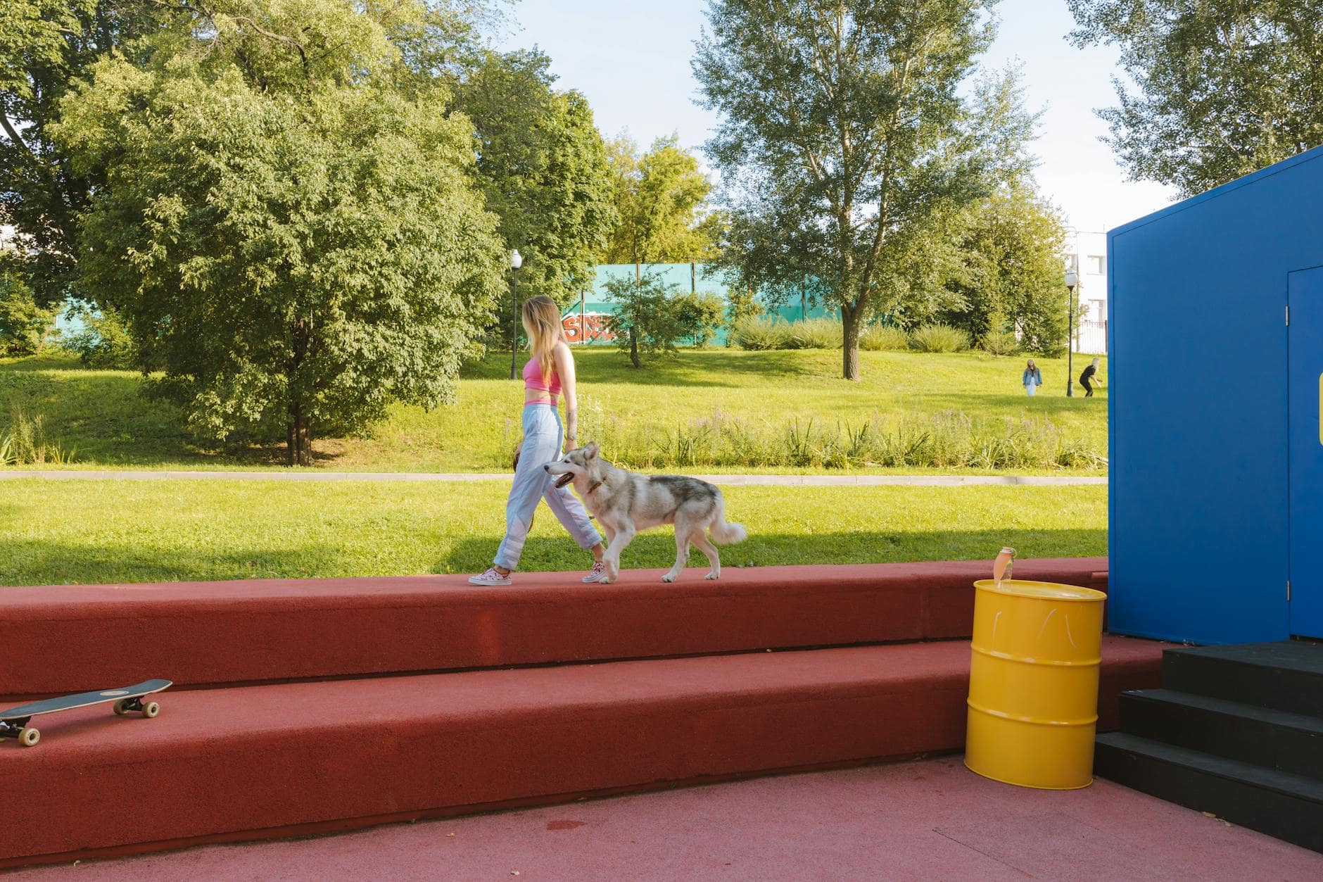 Cómo armar un presupuesto mensual de cuidados para tu mascota