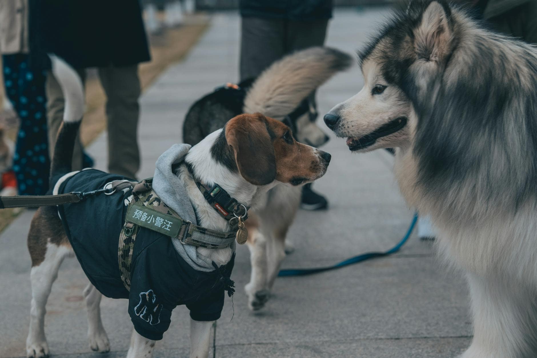Qué ofrecer en la primera experiencia para que el cliente reserve otra vez