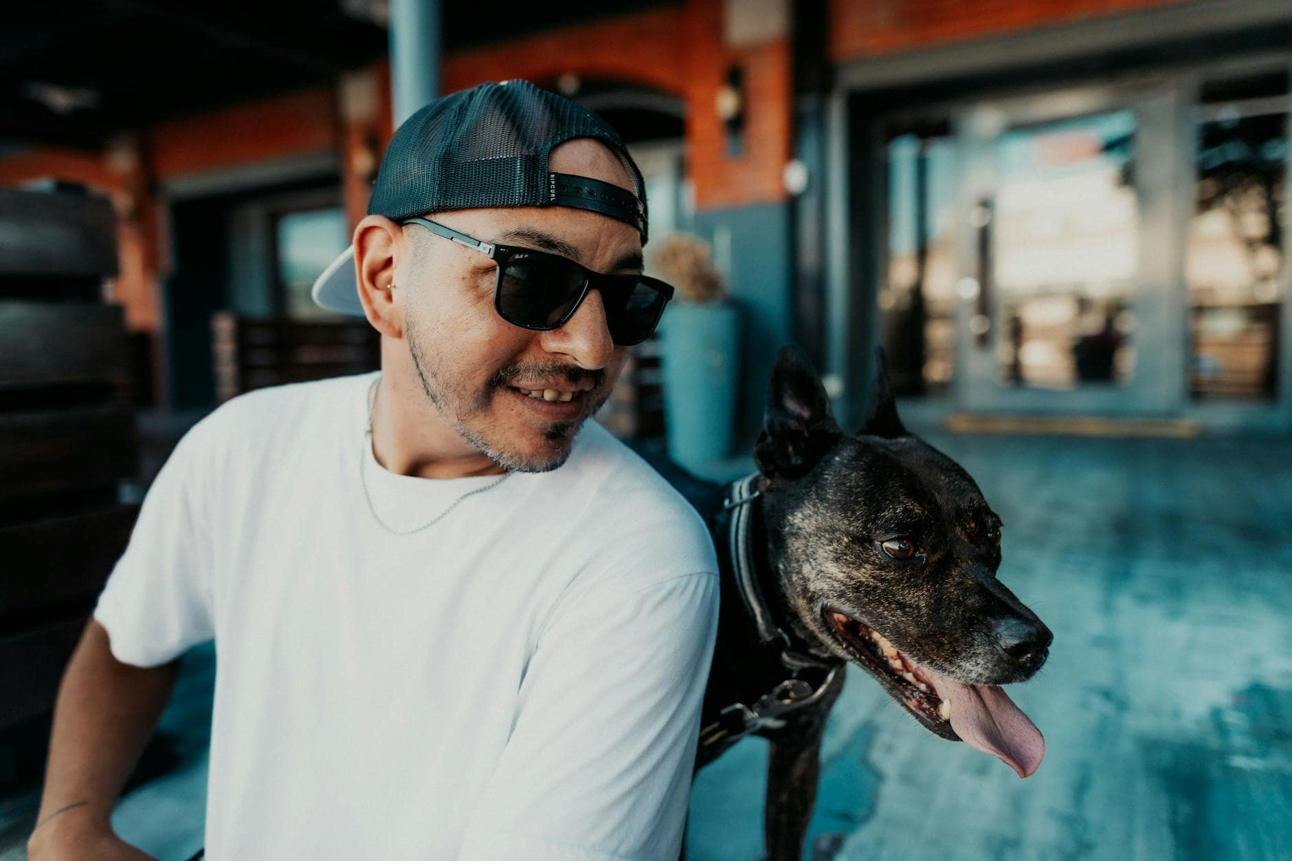 Cómo preparar a un perro rescatado para su primer paseo con tercero