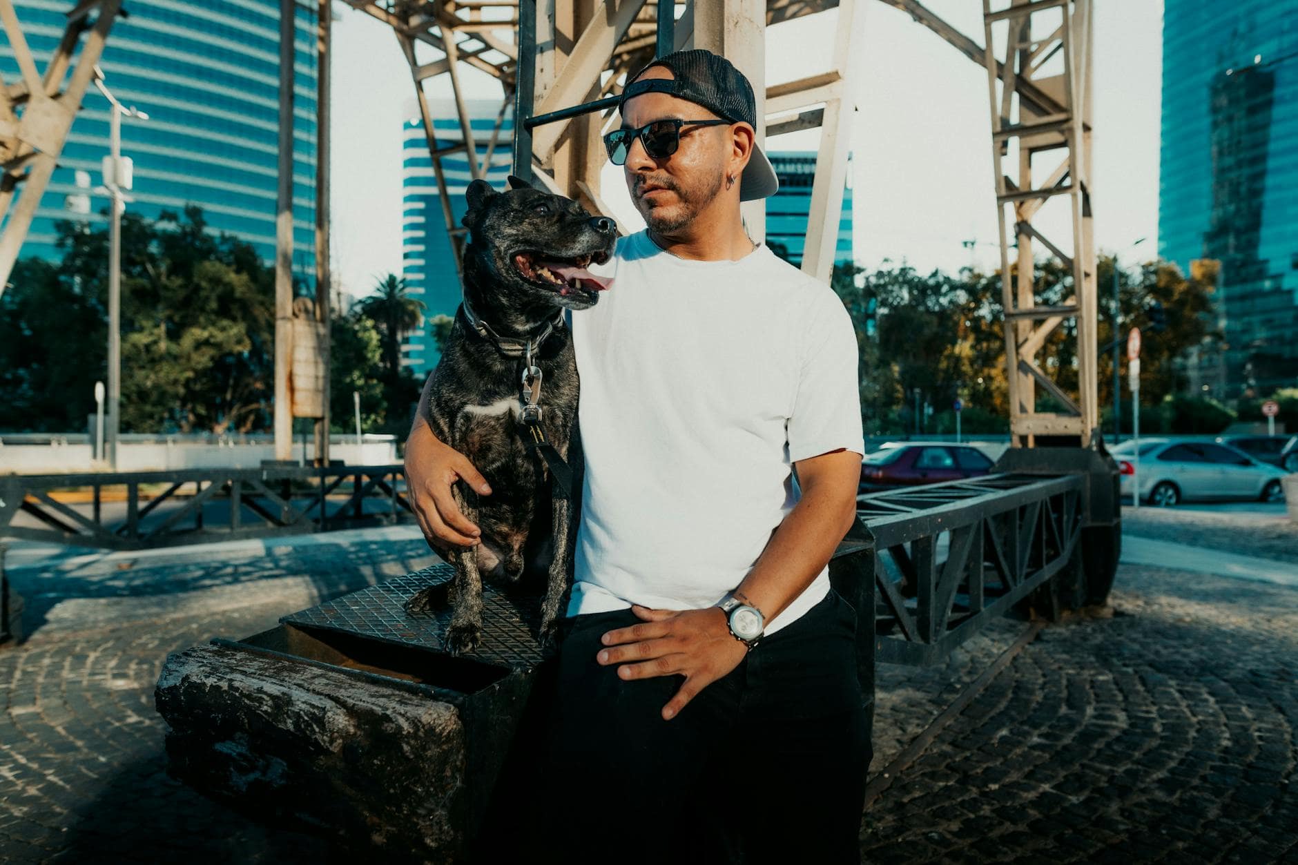 Cómo presentar a tu perro a un nuevo cuidador