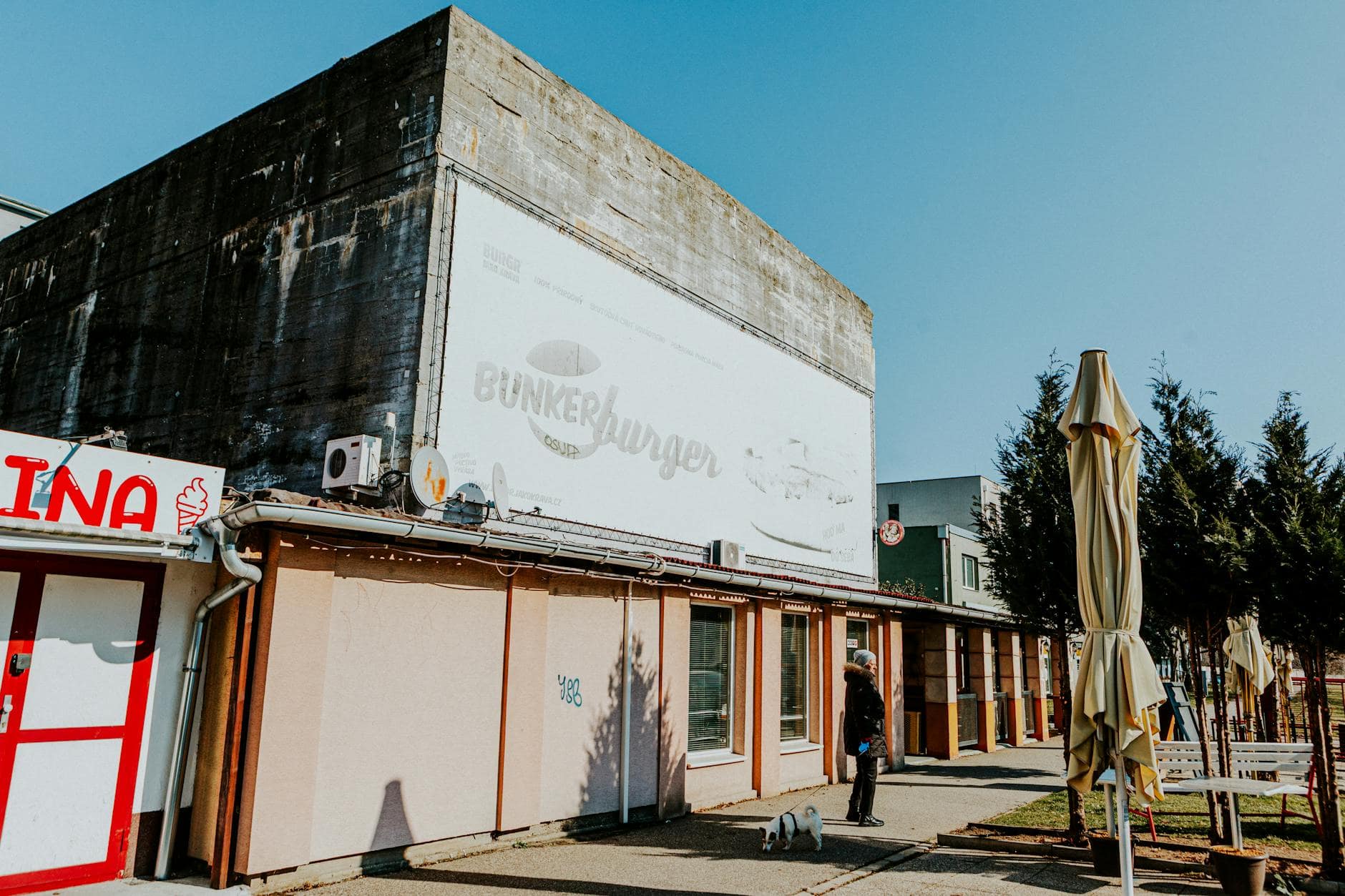 Cuánto cuesta un paseo de perros y qué suele mover el precio