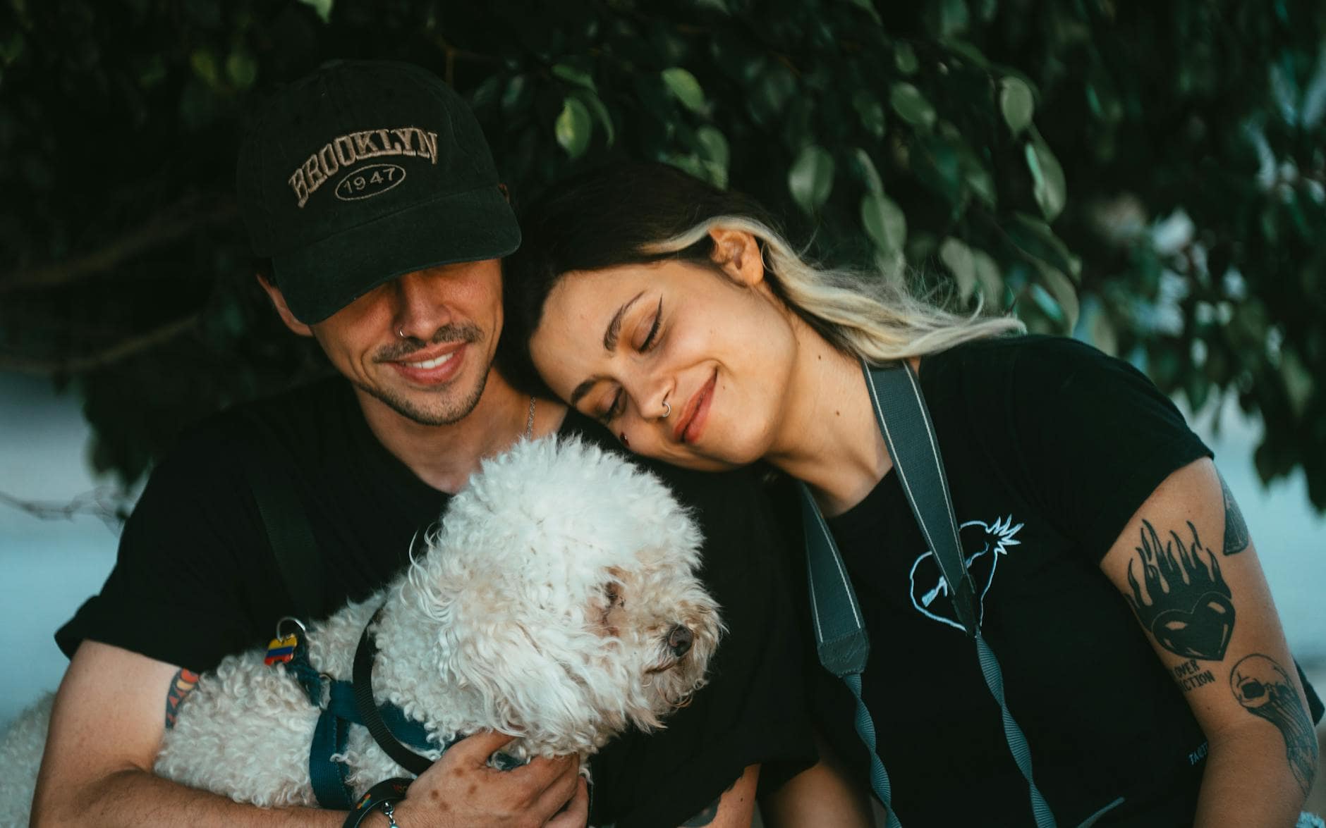 Cómo funciona la verificación de identidad y por qué importa en servicios pet