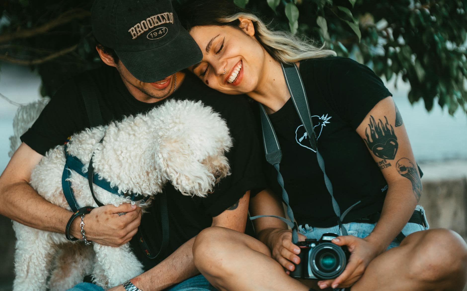 Vivir con perro en departamento: paseos cortos que sí suman