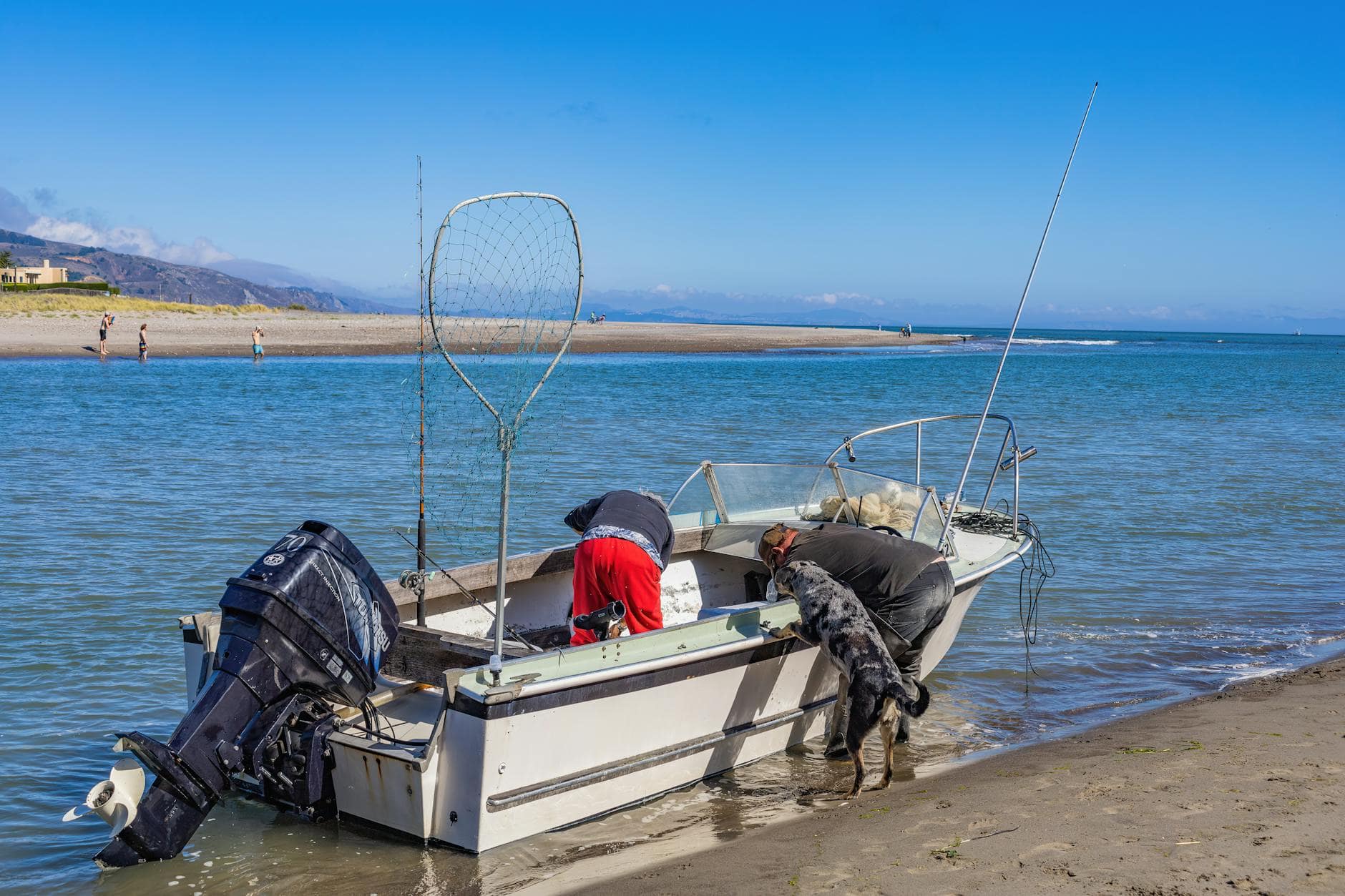 Hotel canino cerca de Las Condes: cómo evaluar adaptación y rutina