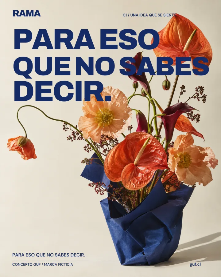 Campaña conceptual RAMA: PARA ESO QUE NO SABES DECIR.