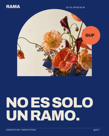 NO ES SOLO UN RAMO.